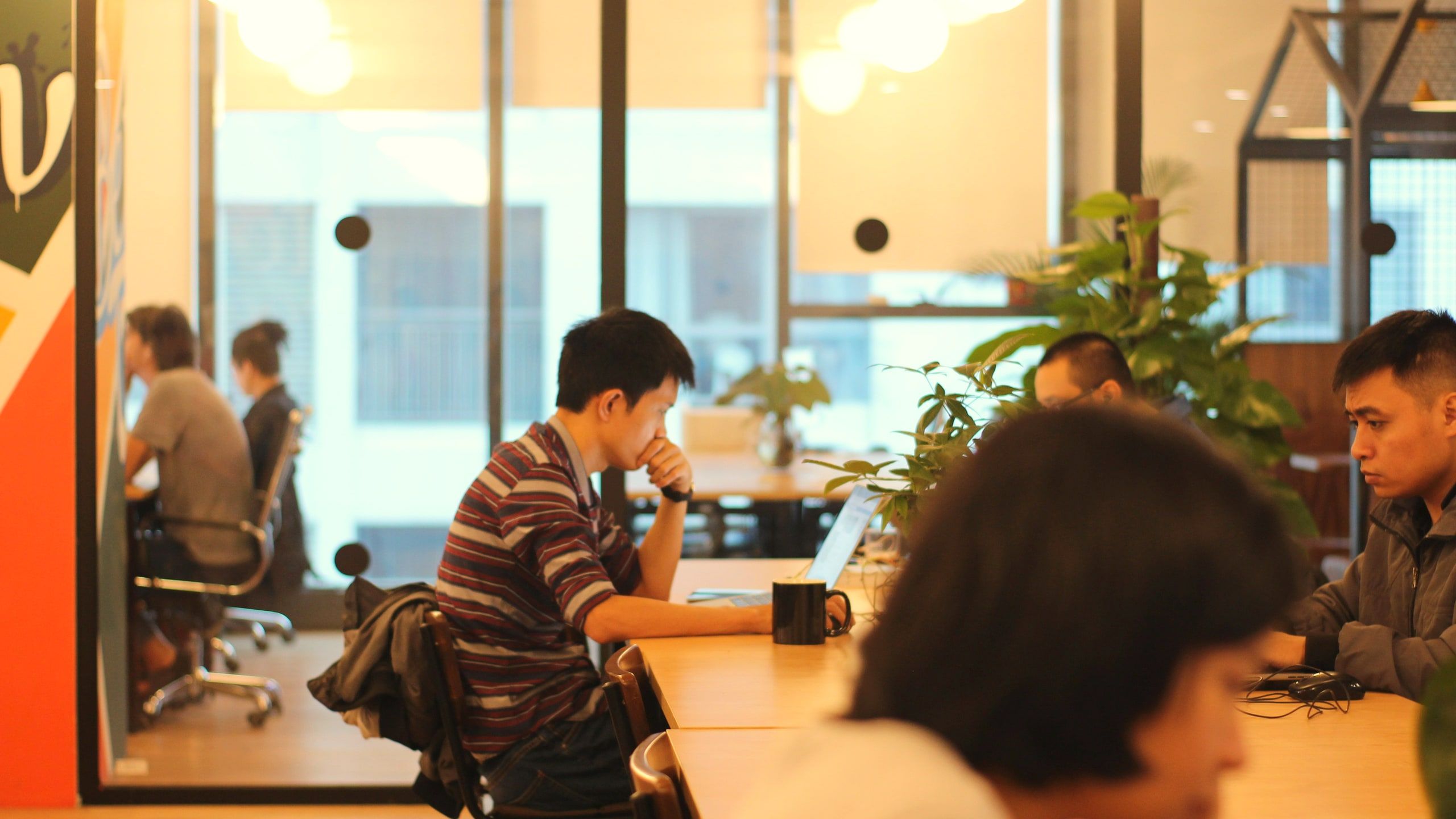 People working at a long shared table beside tall windows, one figure soft in the foreground, plants and warm light throughout.